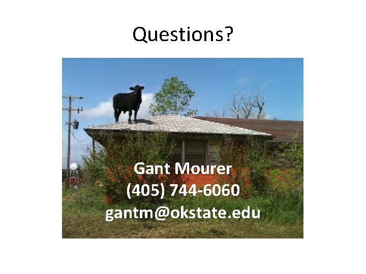 Questions? Gant Mourer (405) 744 -6060 gantm@okstate. edu 