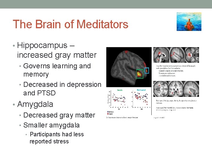 The Brain of Meditators • Hippocampus – increased gray matter • Governs learning and