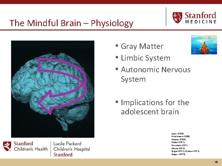 The Mindful Brain – Physiology • Gray Matter • Limbic System • Autonomic Nervous