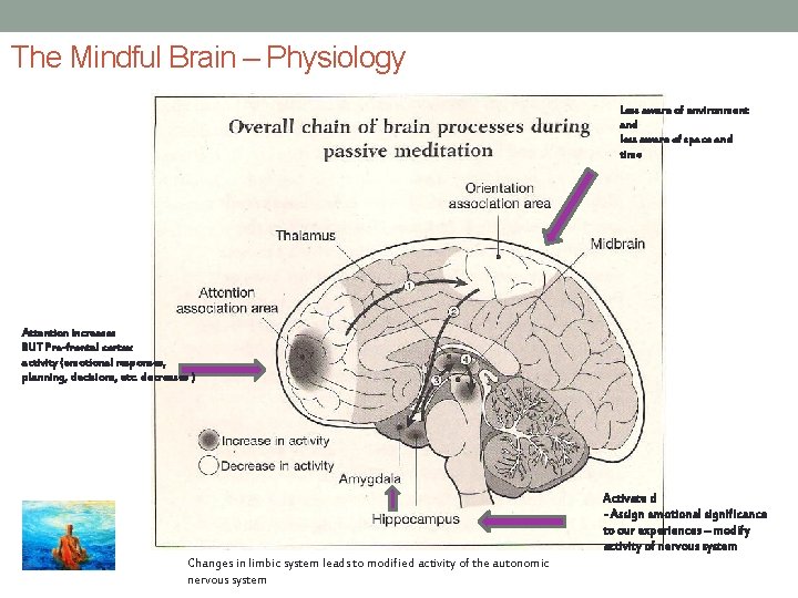 The Mindful Brain – Physiology Less aware of environment and less aware of space