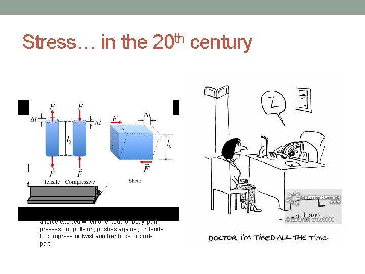 Stress… in the 20 th century a force exerted when one body or body