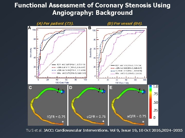 Functional Assessment of Coronary Stenosis Using Angiography: Background (A) Per patient (73). (B) Per