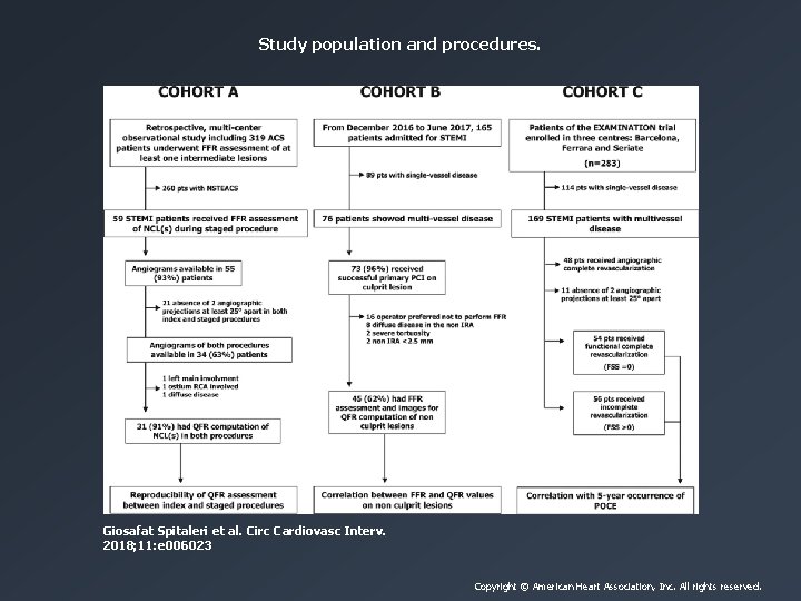 Study population and procedures. Giosafat Spitaleri et al. Circ Cardiovasc Interv. 2018; 11: e