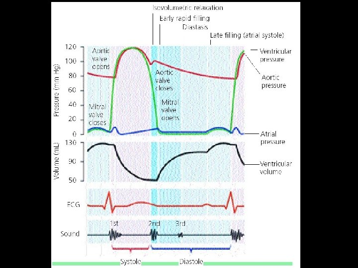 Diastolic Dysfunction and Diastolic Heart Failure By Mohammad