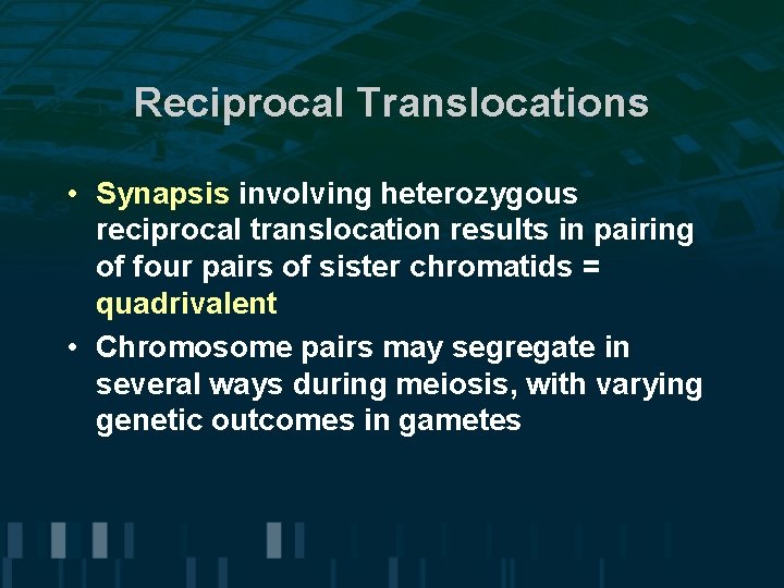 Reciprocal Translocations • Synapsis involving heterozygous reciprocal translocation results in pairing of four pairs