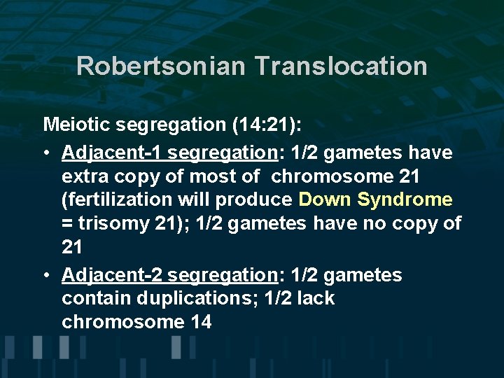 Robertsonian Translocation Meiotic segregation (14: 21): • Adjacent-1 segregation: 1/2 gametes have extra copy
