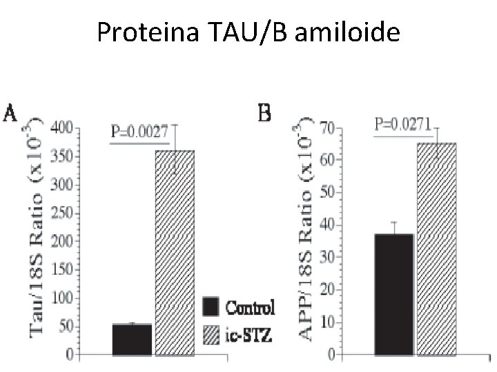 Proteina TAU/B amiloide 