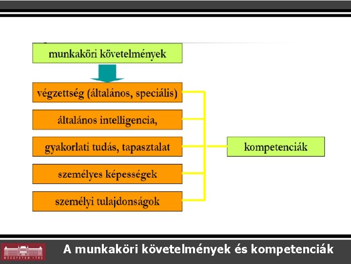 A munkaköri követelmények és kompetenciák 