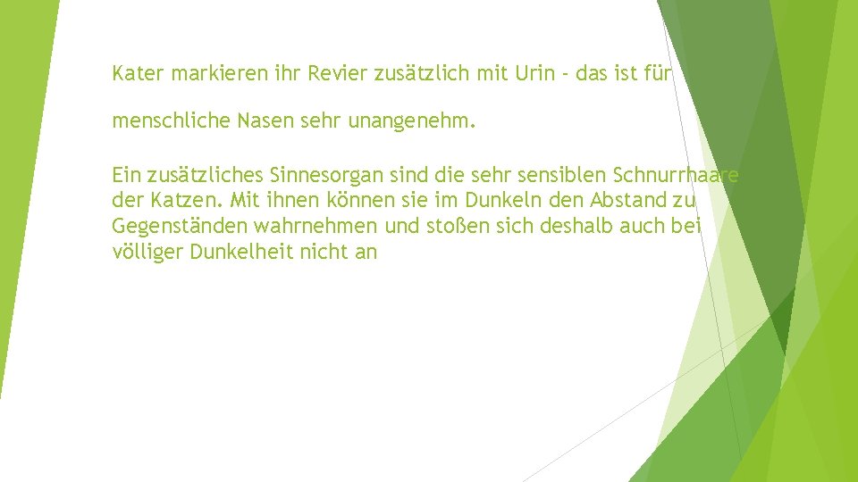 Kater markieren ihr Revier zusätzlich mit Urin - das ist für menschliche Nasen sehr