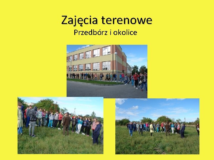 Zajęcia terenowe Przedbórz i okolice 