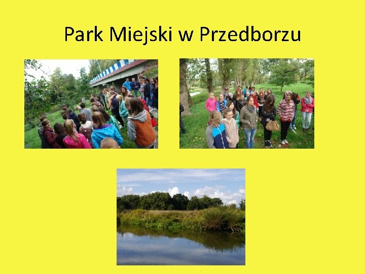 Park Miejski w Przedborzu 