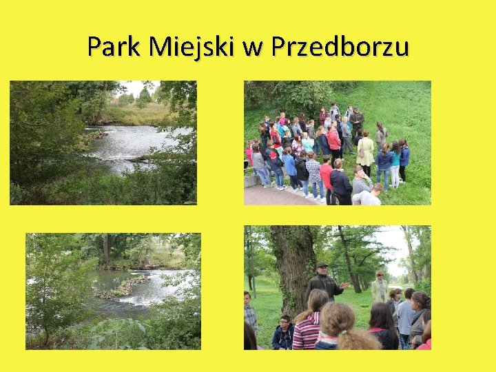 Park Miejski w Przedborzu 