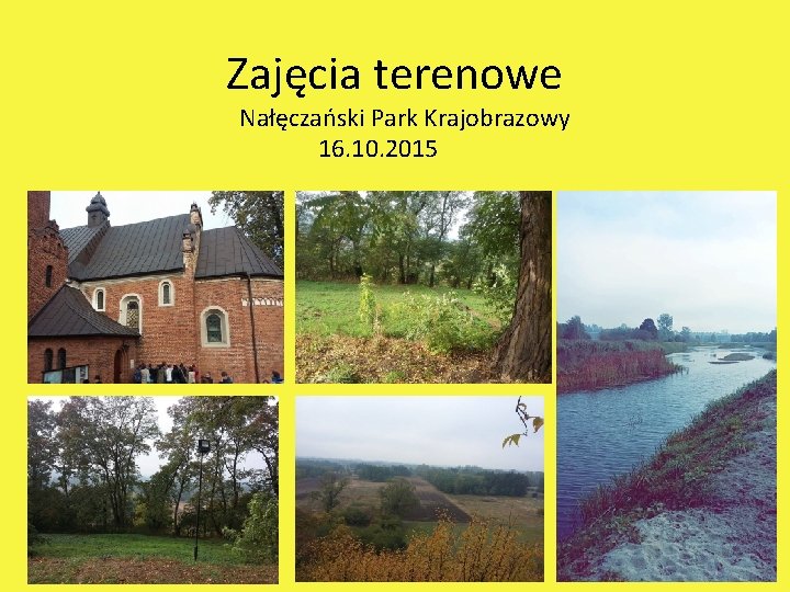 Zajęcia terenowe Nałęczański Park Krajobrazowy 16. 10. 2015 