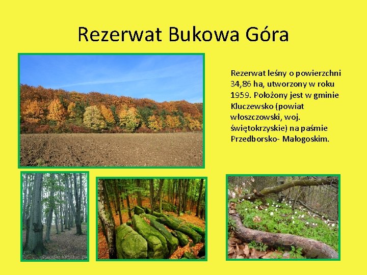 Rezerwat Bukowa Góra Rezerwat leśny o powierzchni 34, 86 ha, utworzony w roku 1959.