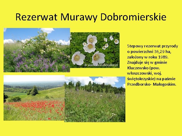 Rezerwat Murawy Dobromierskie Stepowy rezerwat przyrody o powierzchni 36, 29 ha, założony w roku