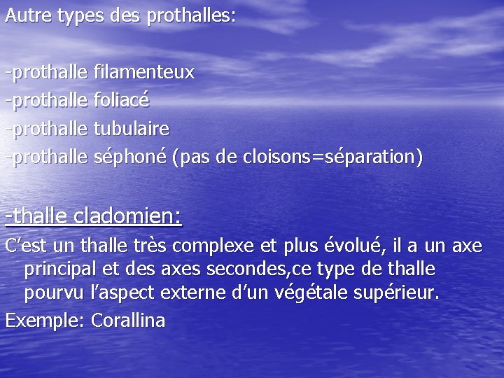 Autre types des prothalles: -prothalle filamenteux -prothalle foliacé -prothalle tubulaire -prothalle séphoné (pas de