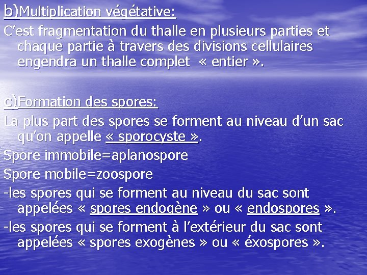 b)Multiplication végétative: C’est fragmentation du thalle en plusieurs parties et chaque partie à travers