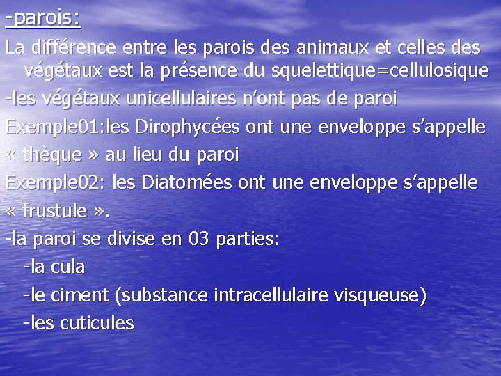 -parois: La différence entre les parois des animaux et celles des végétaux est la