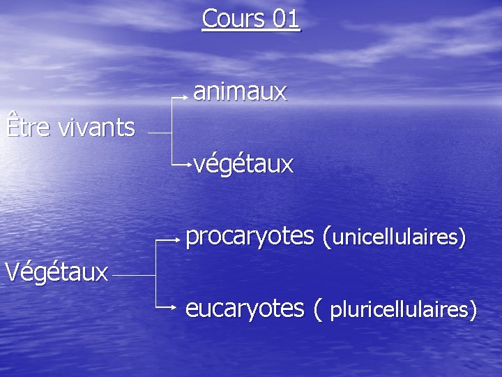 Cours 01 animaux Être vivants végétaux procaryotes (unicellulaires) Végétaux eucaryotes ( pluricellulaires) 