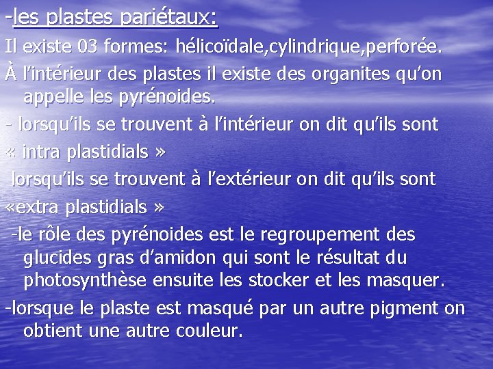 -les plastes pariétaux: Il existe 03 formes: hélicoïdale, cylindrique, perforée. À l’intérieur des plastes