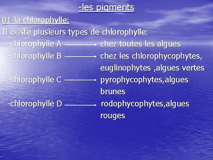 -les pigments 01 -la chlorophylle: Il existe plusieurs types de chlorophylle: -chlorophylle A chez