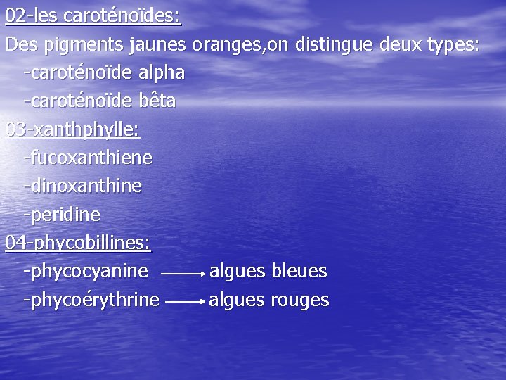 02 -les caroténoïdes: Des pigments jaunes oranges, on distingue deux types: -caroténoïde alpha -caroténoïde