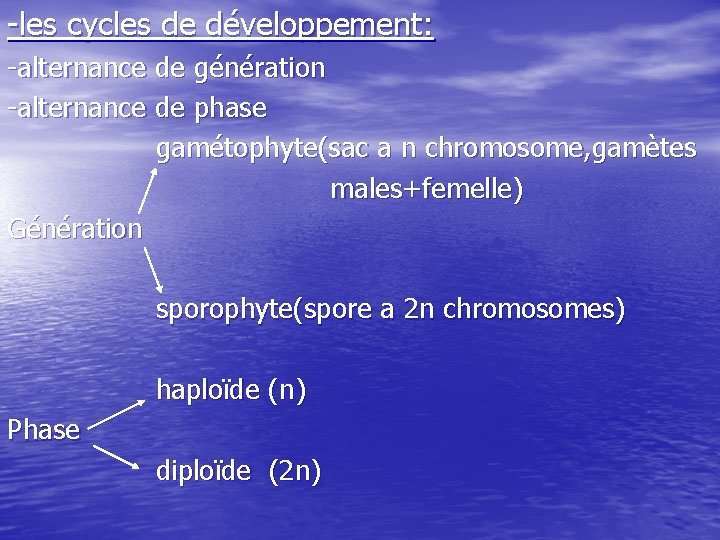 -les cycles de développement: -alternance de génération -alternance de phase gamétophyte(sac a n chromosome,