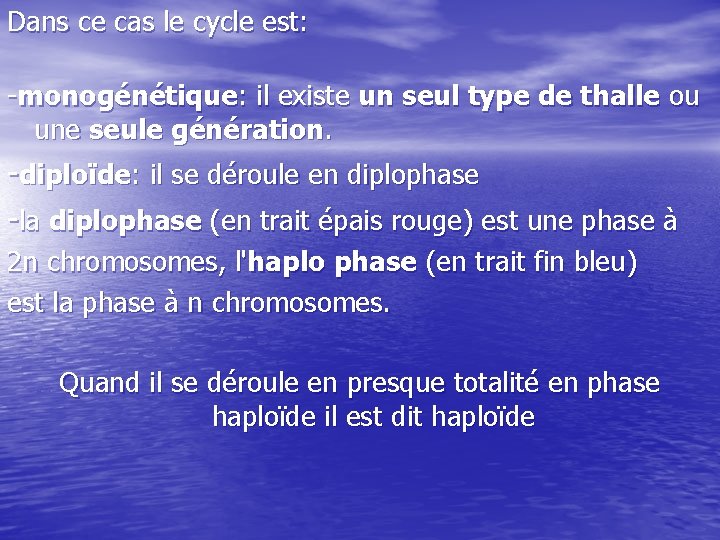 Dans ce cas le cycle est: -monogénétique: il existe un seul type de thalle