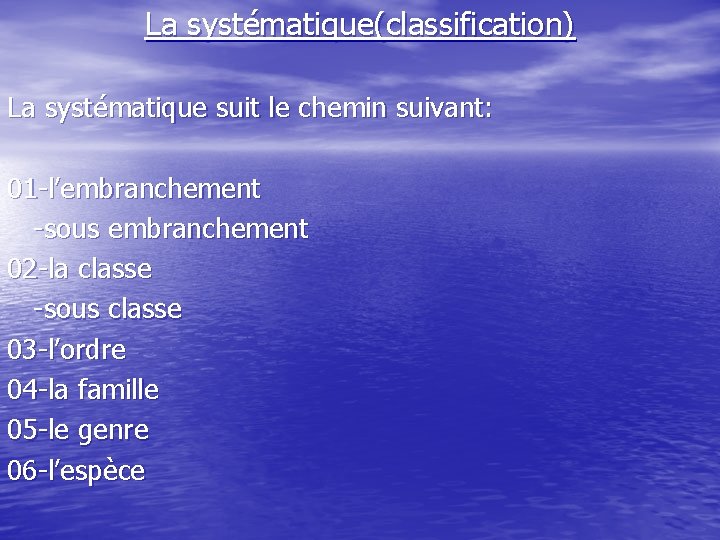 La systématique(classification) La systématique suit le chemin suivant: 01 -l’embranchement -sous embranchement 02 -la