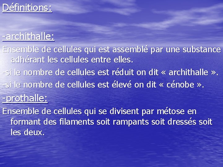 Définitions: -archithalle: Ensemble de cellules qui est assemblé par une substance adhérant les cellules