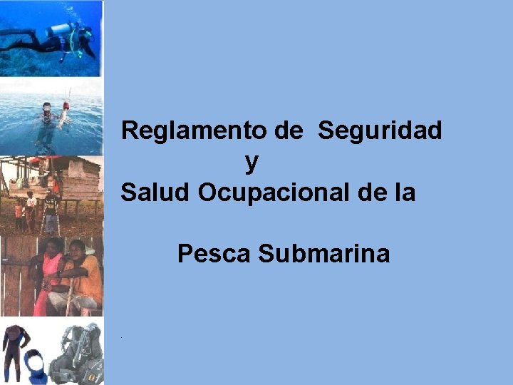Reglamento de Seguridad y Salud Ocupacional de la Pesca Submarina. 
