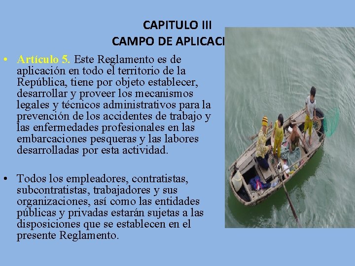 CAPITULO III CAMPO DE APLICACIÓN • Artículo 5. Este Reglamento es de aplicación en