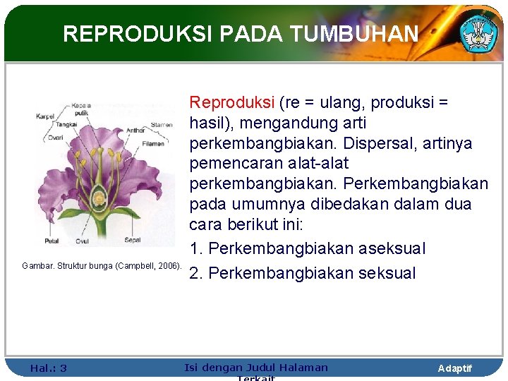 REPRODUKSI PADA TUMBUHAN Gambar. Struktur bunga (Campbell, 2006). Hal. : 3 Reproduksi (re =