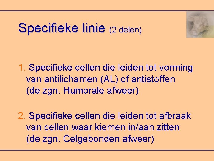 Specifieke linie (2 delen) 1. Specifieke cellen die leiden tot vorming van antilichamen (AL)