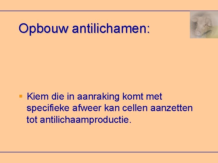 Opbouw antilichamen: Kiem die in aanraking komt met specifieke afweer kan cellen aanzetten tot