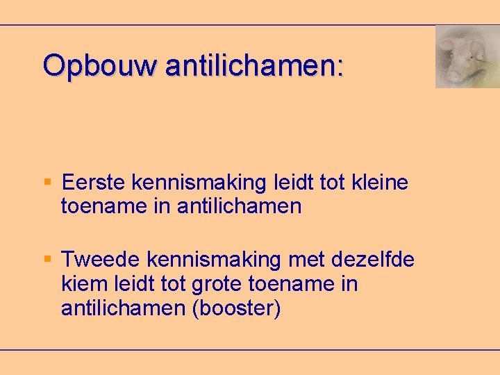 Opbouw antilichamen: Eerste kennismaking leidt tot kleine toename in antilichamen Tweede kennismaking met dezelfde