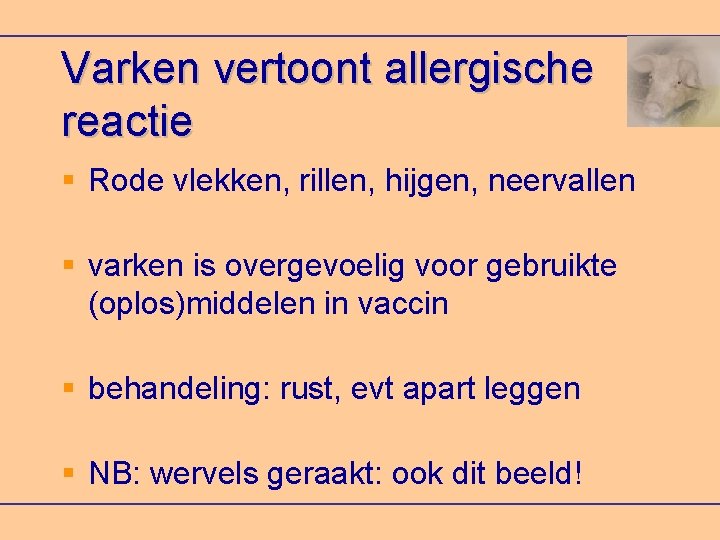 Varken vertoont allergische reactie Rode vlekken, rillen, hijgen, neervallen varken is overgevoelig voor gebruikte