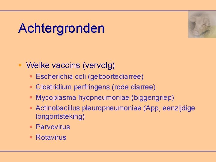 Achtergronden Welke vaccins (vervolg) Escherichia coli (geboortediarree) Clostridium perfringens (rode diarree) Mycoplasma hyopneumoniae (biggengriep)