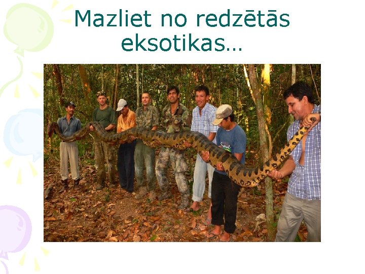 Mazliet no redzētās eksotikas… 