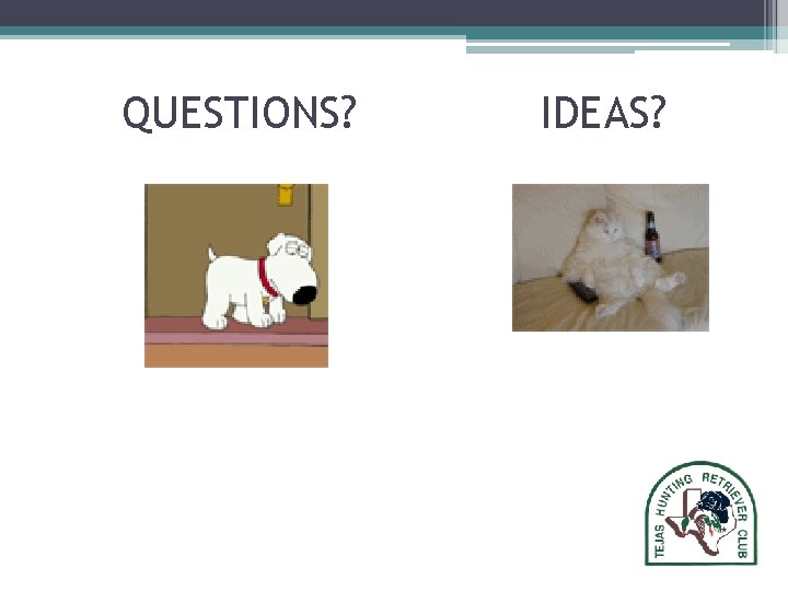 QUESTIONS? IDEAS? QUESTIONS? IDEAS?