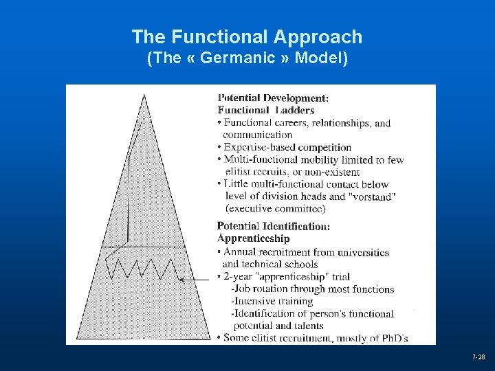 The Functional Approach (The « Germanic » Model) 7 -28 