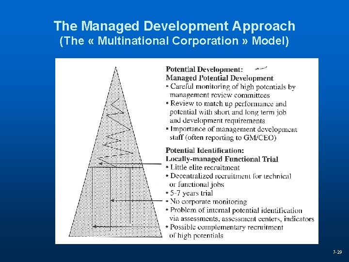 The Managed Development Approach (The « Multinational Corporation » Model) 7 -29 