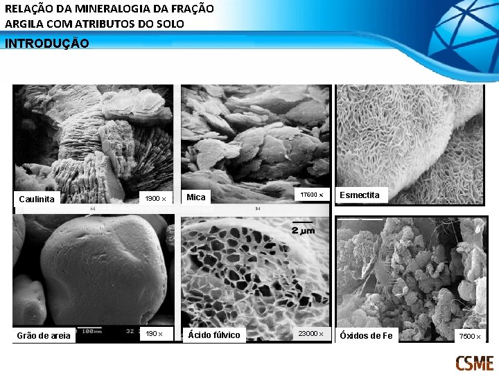 RELAÇÃO DA MINERALOGIA DA FRAÇÃO ARGILA COM ATRIBUTOS DO SOLO INTRODUÇÃO Caulinita Grão de