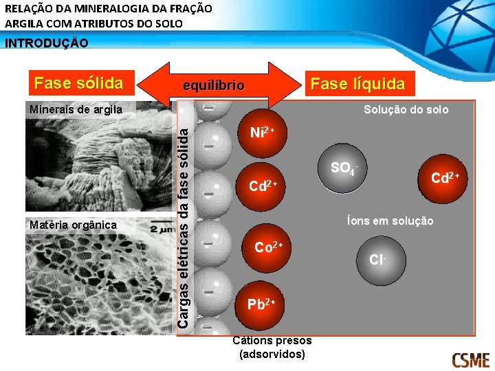 RELAÇÃO DA MINERALOGIA DA FRAÇÃO ARGILA COM ATRIBUTOS DO SOLO INTRODUÇÃO Fase sólida Fase