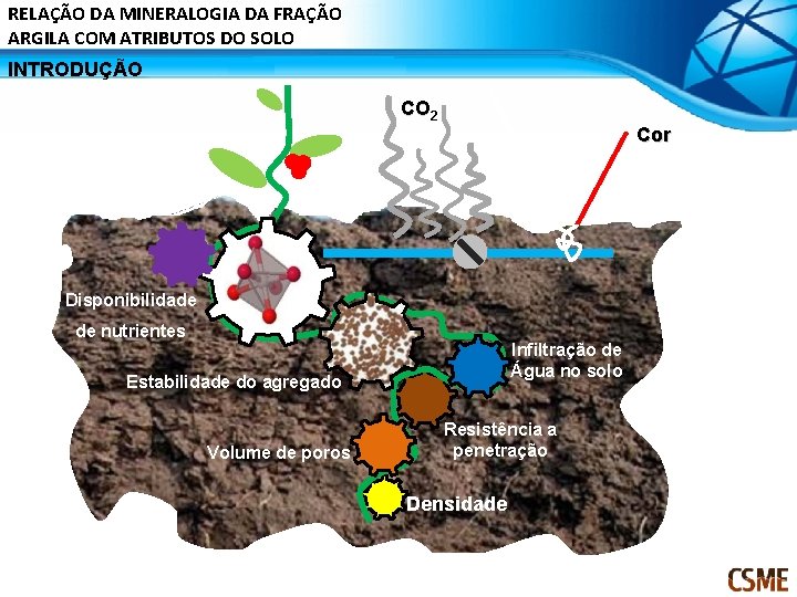 RELAÇÃO DA MINERALOGIA DA FRAÇÃO ARGILA COM ATRIBUTOS DO SOLO INTRODUÇÃO CO 2 Cor