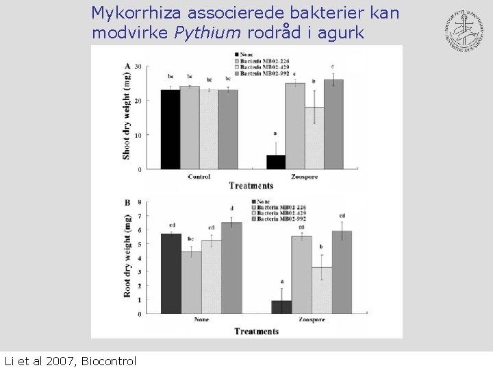 Mykorrhiza associerede bakterier kan modvirke Pythium rodråd i agurk Li et al 2007, Biocontrol