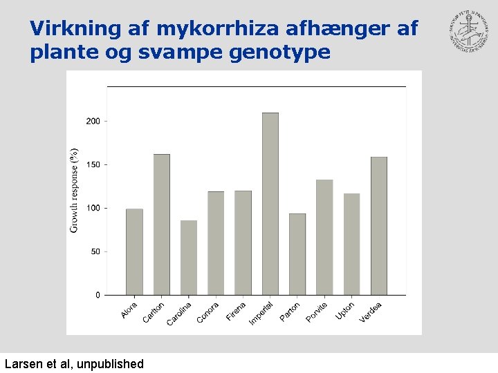 Virkning af mykorrhiza afhænger af plante og svampe genotype Larsen et al, unpublished 