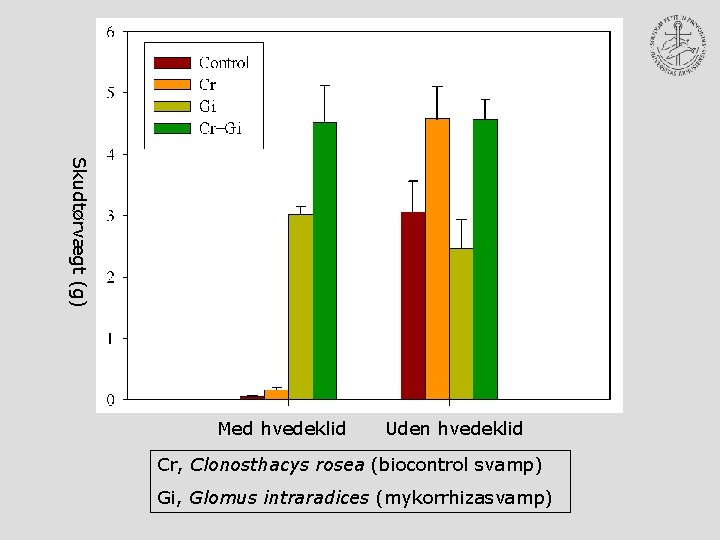 Skudtørvægt (g) Med hvedeklid Uden hvedeklid Cr, Clonosthacys rosea (biocontrol svamp) Gi, Glomus intraradices