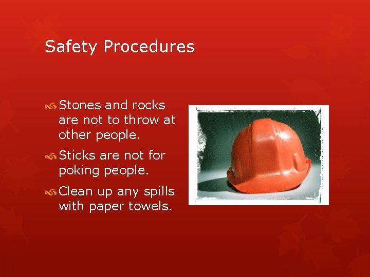 Safety Procedures Stones and rocks are not to throw at other people. Sticks are