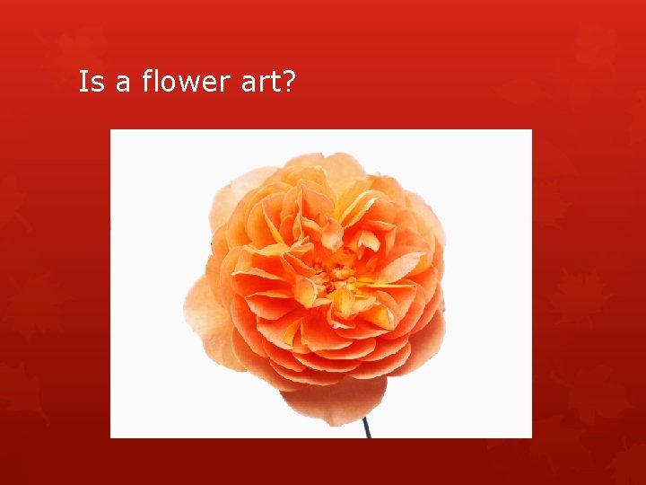 Is a flower art? 